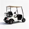 Fabricante y venta al por mayor de carritos de golf eléctricos de 2 plazas personalizados - EG2028K