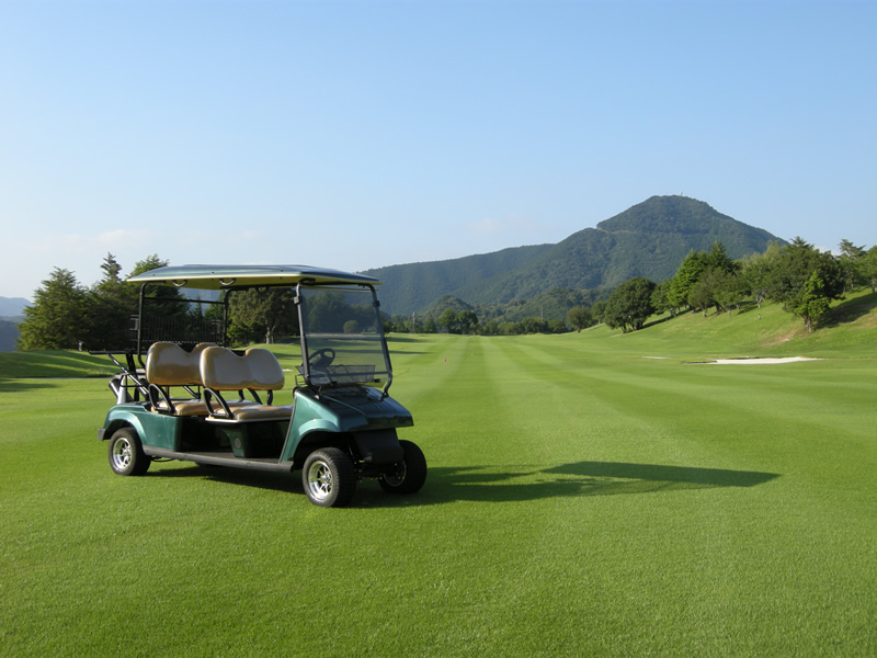 Jap&oacute;n Leograd Golf Club Carro de campo de golf 