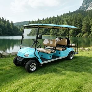 Carros de golf eléctricos del carro de golf de la persona del ODM del OEM 6 - EG2048KSZ