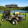 Vehículo todoterreno eléctrico con buggy de caza todoterreno del mejor fabricante - EG2020ASZ