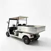 Fábrica de carritos de golf de carga eléctricos de dos plazas y proveedor OEM - EG2048HCX