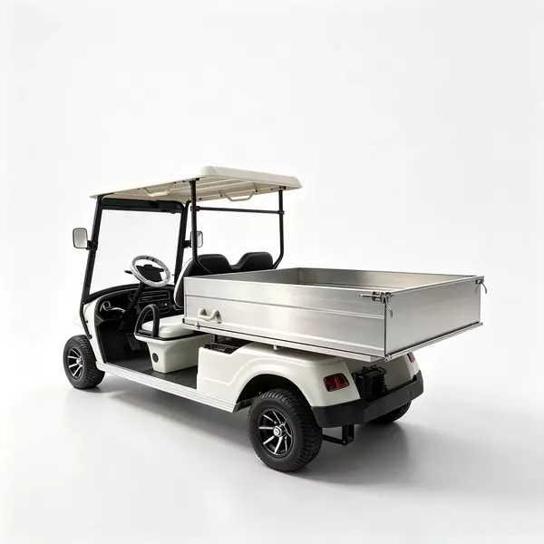 Fábrica de carritos de golf de carga eléctricos de dos plazas y proveedor OEM - EG2048HCX