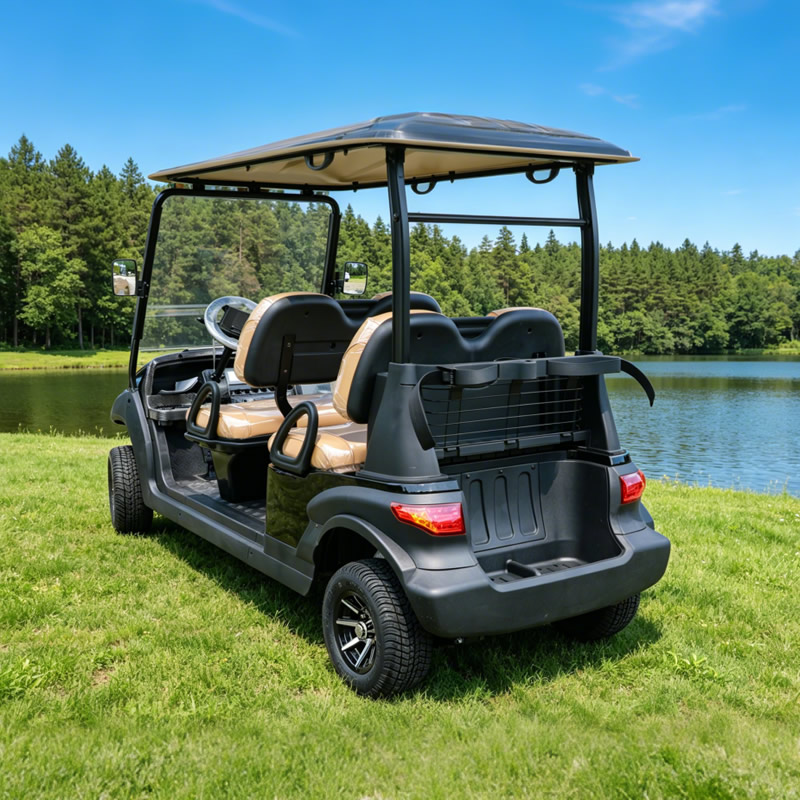 Buggy de carritos de golf de 4 plazas con batería de litio personalizado a la venta - EG204AK