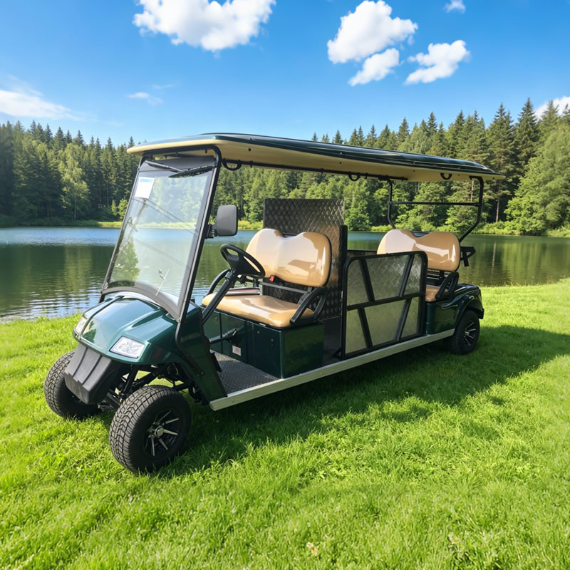 Fabricante personalizado al por mayor de carritos de golf para discapacitados - EG2068T