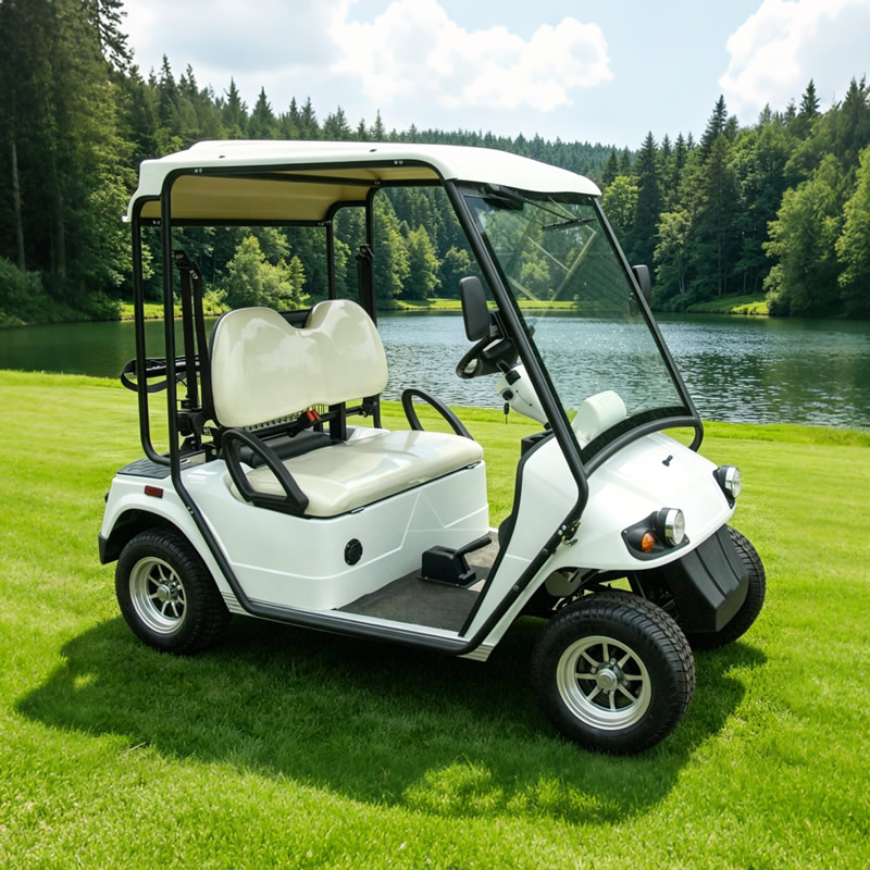 Buggy eléctrico personalizado para carros de golf legales para la calle - EG2028KR