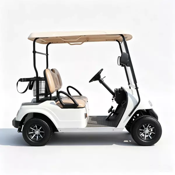 Fabricante y venta al por mayor de carritos de golf eléctricos de 2 plazas personalizados - EG2028K