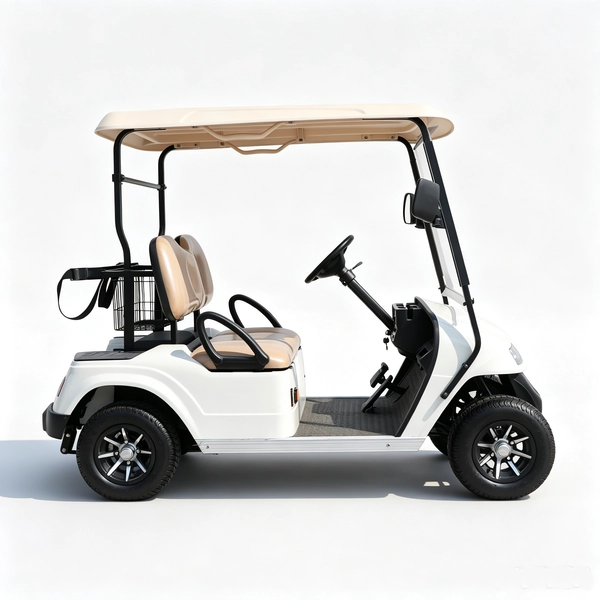 Carro-de-golf-electrico-2-plazas (6)_EAGLE 