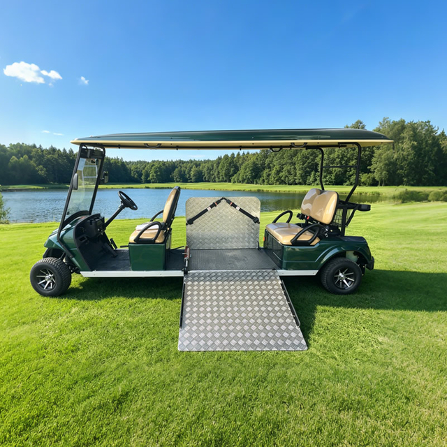 Fabricante personalizado al por mayor de carritos de golf para discapacitados - EG2068T