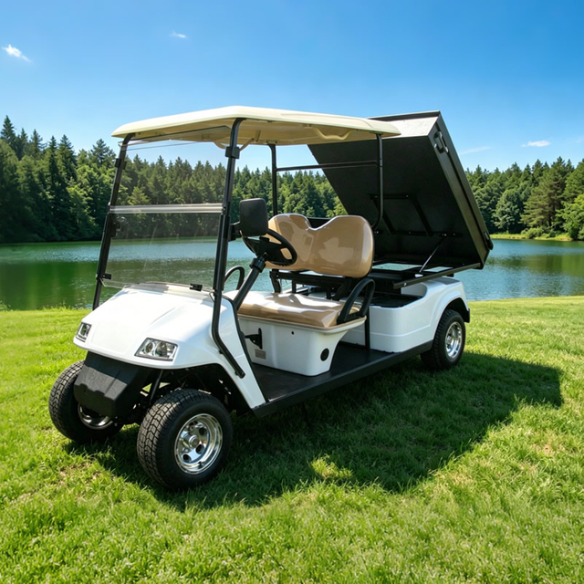 Carro de golf para camión de carga utilitario con caja - EG2048HCX