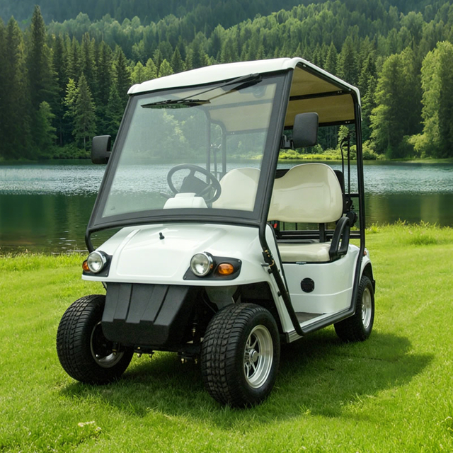 Buggy eléctrico personalizado para carros de golf legales para la calle - EG2028KR