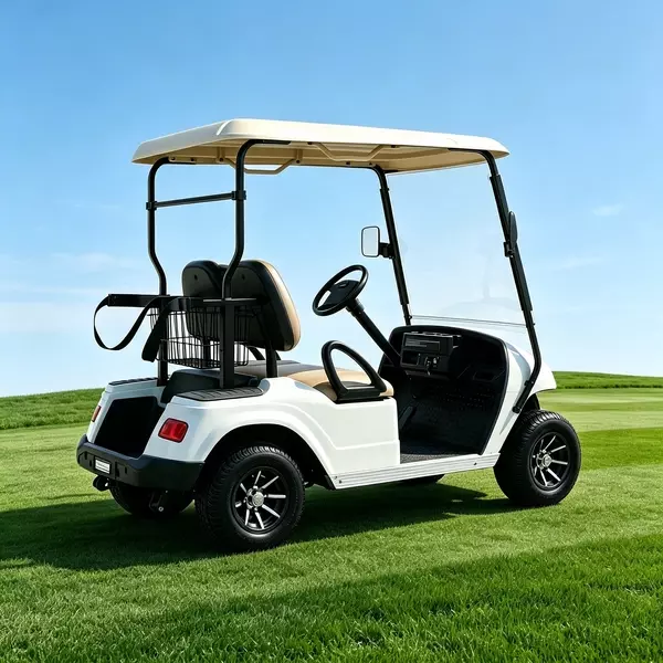 Fabricante y venta al por mayor de carritos de golf eléctricos de 2 plazas personalizados - EG2028K