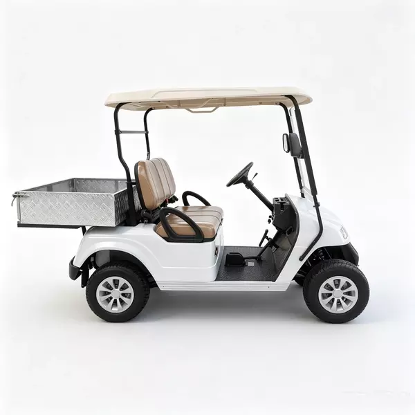 Carro de golf eléctrico de 2 plazas personalizado con plataforma de carga de aluminio - EG2028H