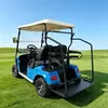 Carro de golf eléctrico azul personalizado con portaequipajes trasero | Fabricante mayorista - EG2028KG