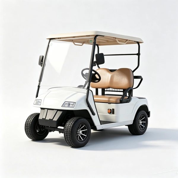 Carro-de-golf-electrico-2-plazas (1)_EAGLE 