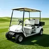 Carro de golf eléctrico utilitario para 4 pasajeros con plataforma de carga | Fabricante - EG2048H
