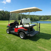 Carros de golf utilitarios de 48 V, 2 + 2 y 4 plazas - EG202ASKZ