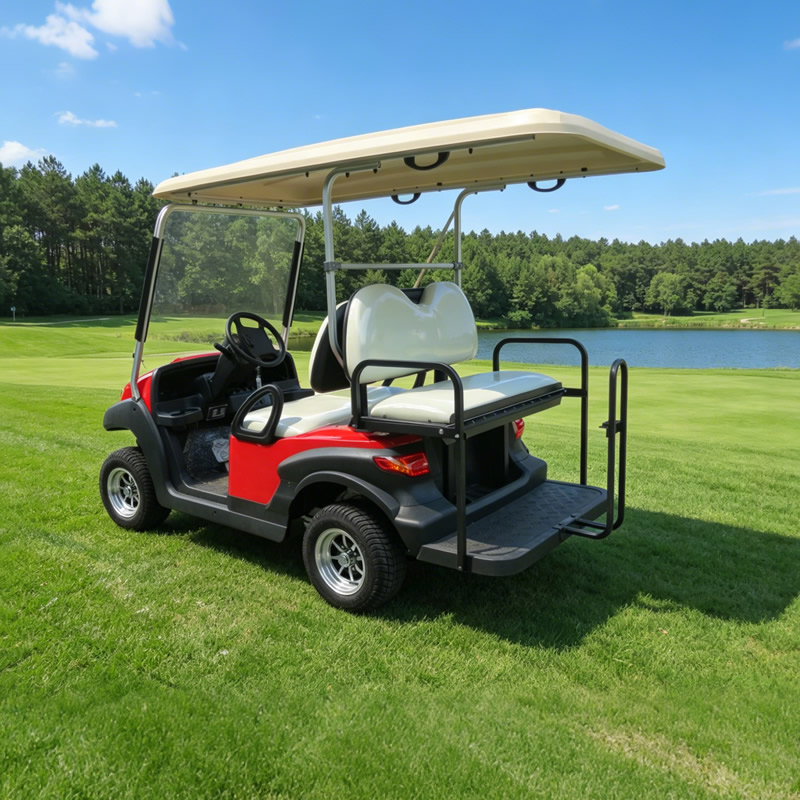 Carros de golf utilitarios de 48 V, 2 + 2 y 4 plazas - EG202ASKZ