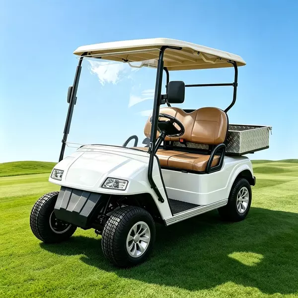 Carro de golf eléctrico de 2 plazas personalizado con plataforma de carga de aluminio - EG2028H