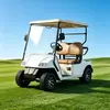 Fabricante y venta al por mayor de carritos de golf eléctricos de 2 plazas personalizados - EG2028K