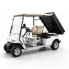 Carro de golf eléctrico con plataforma de carga | Fabricante mayorista - EG2048HCX