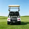 Fabricante y venta al por mayor de carritos de golf eléctricos de 2 plazas personalizados - EG2028K