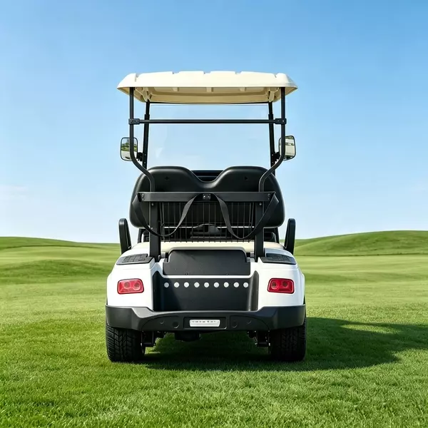 Fabricante y venta al por mayor de carritos de golf eléctricos de 2 plazas personalizados - EG2028K