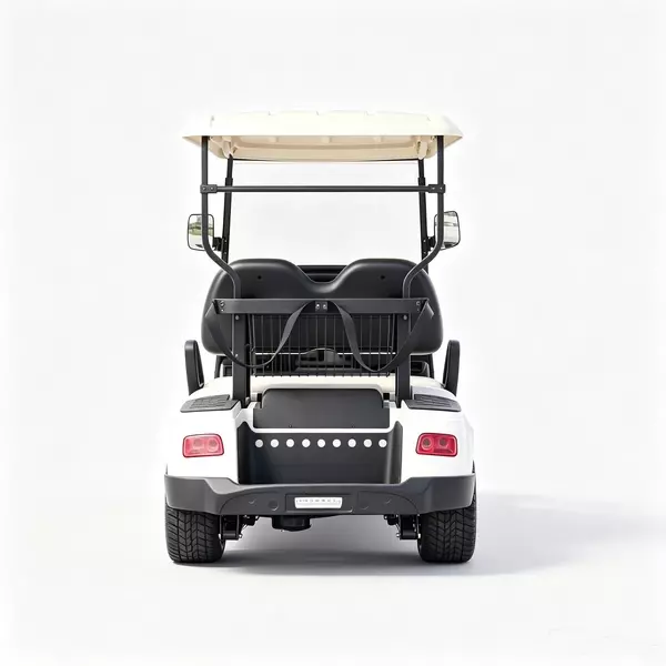 Fabricante y venta al por mayor de carritos de golf eléctricos de 2 plazas personalizados - EG2028K