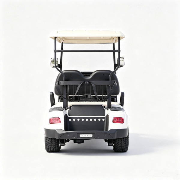 Carro-de-golf-electrico-2-plazas (7)_EAGLE