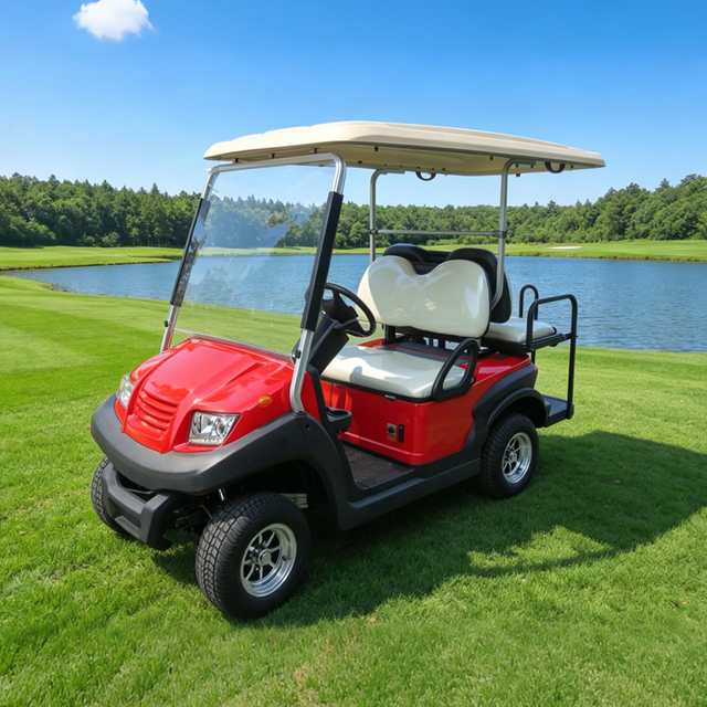 Carros de golf utilitarios de 48 V, 2 + 2 y 4 plazas - EG202ASKZ