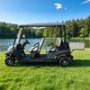 Carro de golf eléctrico de 4 plazas con caja de carga - EG204AH