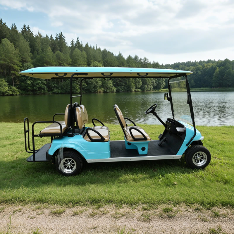 Carros de golf eléctricos del carro de golf de la persona del ODM del OEM 6 - EG2048KSZ