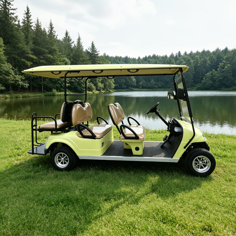 Carro de golf eléctrico con buggy para visitas turísticas para 6 personas - EG2048KSZ