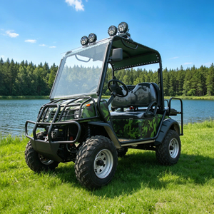Carro de golf eléctrico de caza todoterreno 4x4 4wd Offroad - EG6020A4D