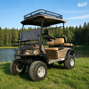 Vehículo todoterreno eléctrico con buggy de caza todoterreno del mejor fabricante - EG2020ASZ
